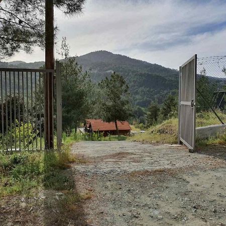The Cosy Mountain Cabin With Stunning Views Near Troodos Káto Amíandosz Kültér fotó