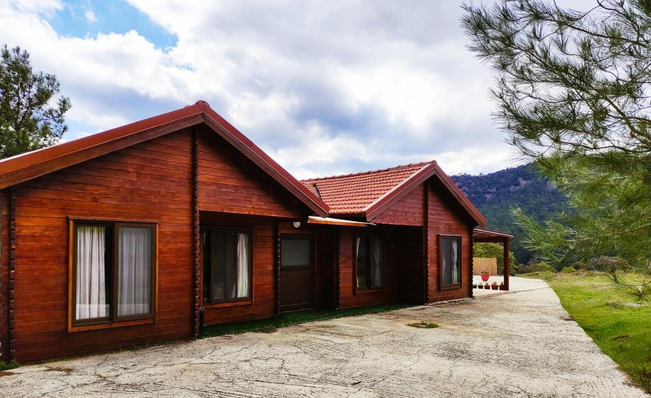 The Cosy Mountain Cabin With Stunning Views Near Troodos Káto Amíandosz Kültér fotó
